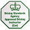 DVSA approved driving instructor